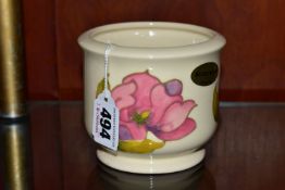A SMALL MOORCROFT POTTERY JARDINIERE, decorated in Magnolia pattern on a cream ground, impressed