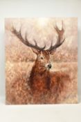 GARY BENFIELD (BRITISH CONTEMPORARY) 'NOBLE' a signed limited edition print of a stag, 14/195,