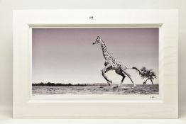 ANUP SHAH (KENYA CONTEMPORARY) 'DANCE', a signed limited edition photographic print depicting a