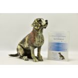 APRIL SHEPHERD (BRITISH CONTEMPORARY) 'PAYING ATTENTION', an artist proof edition sculpture of a dog