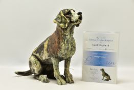 APRIL SHEPHERD (BRITISH CONTEMPORARY) 'PAYING ATTENTION', an artist proof edition sculpture of a dog