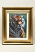 ROLF HARRIS (AUSTRALIA 1931) 'TIGER IN THE SUN', a signed limited edition print, 26/195 no