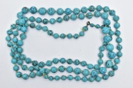 A LONG SINGLE STRAND OF TURQUIOSE BEADS, graduated circular beads each individually knotted to a