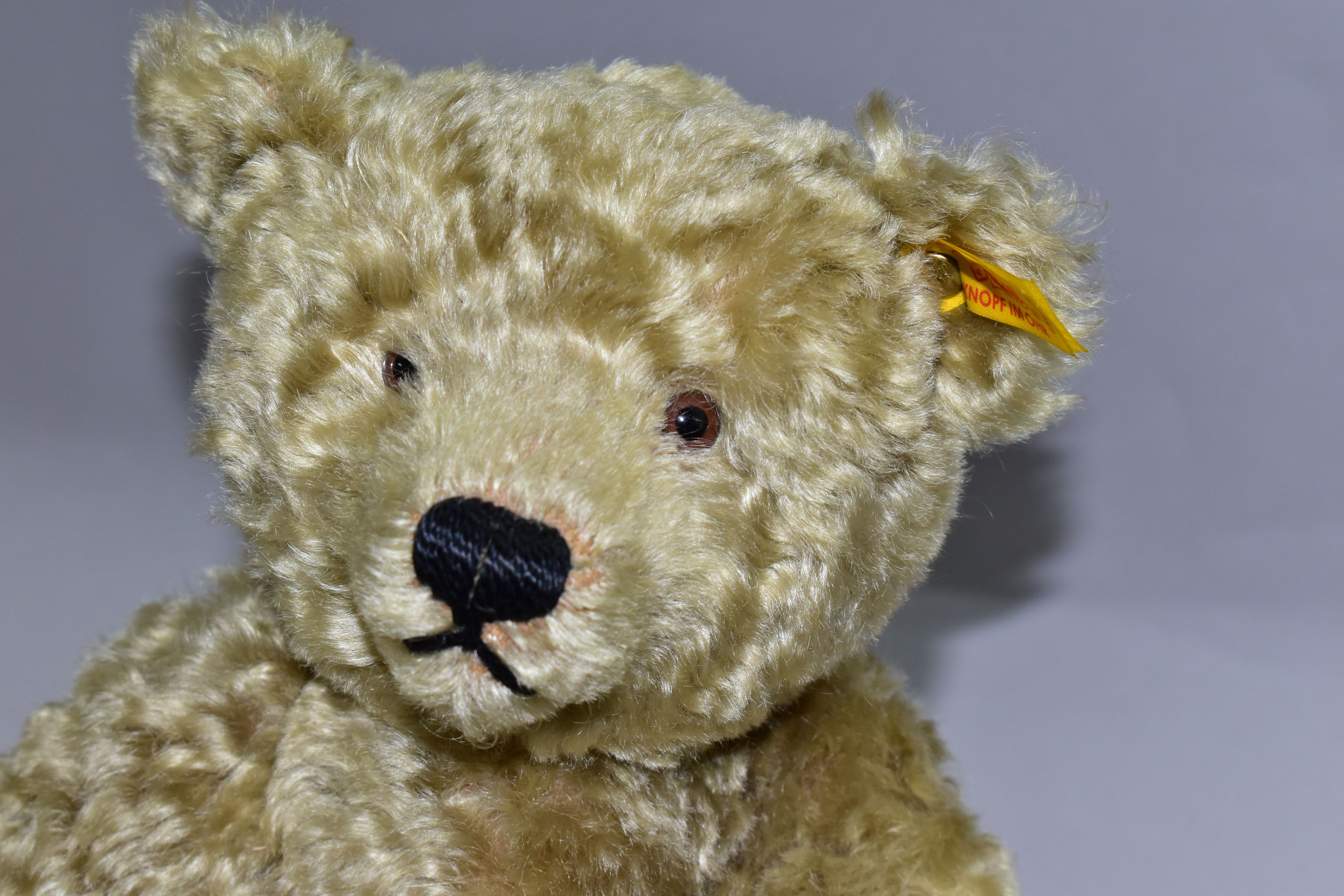 A MODERN STEIFF BLONDE PLUSH MOHAIR TEDDY BEAR, No.654466, button and yellow tag to left ear, - Image 2 of 4