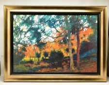 ROLF HARRIS (AUSTRALIA 1939) ' BUSH SUNSET', a signed limited edition print depicting an