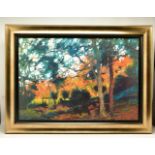 ROLF HARRIS (AUSTRALIA 1939) ' BUSH SUNSET', a signed limited edition print depicting an