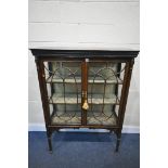 AN EDWARDIAN MAHOGANY GLAZED TWO DISPLAY CABINET, enclosing two fixed shelves, on square tapered