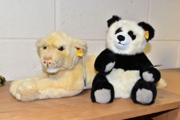 A STEIFF LION CUB AND PANDA, black and white acrylic mix fur, jointed, model number 010620, the lion