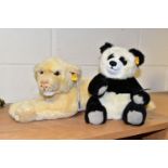 A STEIFF LION CUB AND PANDA, black and white acrylic mix fur, jointed, model number 010620, the lion