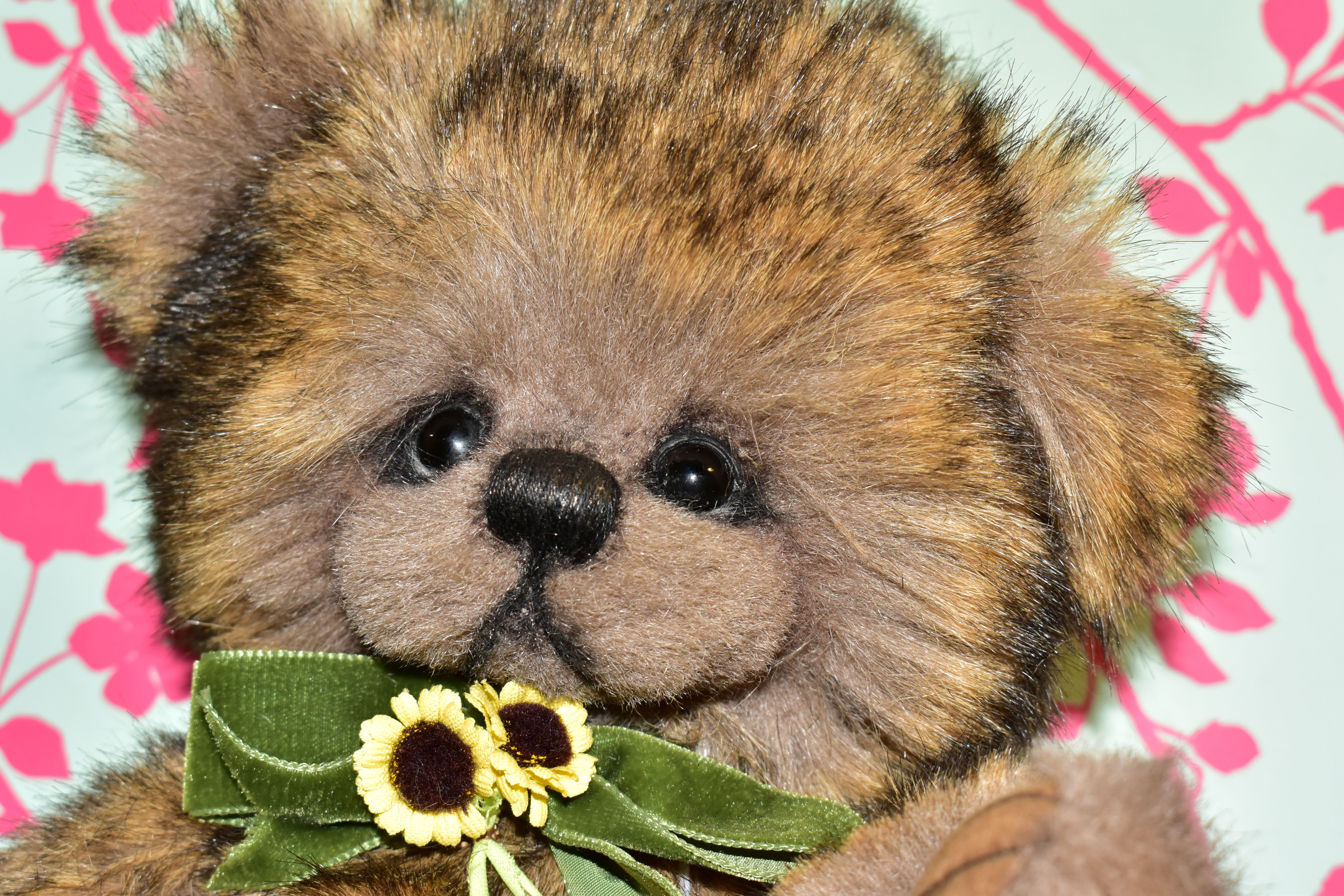 ONE HANDMADE THREE O'CLOCK BEAR, a one off limited edition, light brown and black brindle fur, - Image 2 of 4