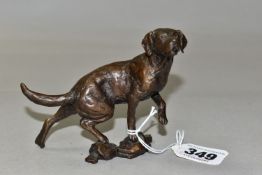 A LIMITED EDITION BRONZE OF A LABRADOR, by Michael Simpson, depicting the dog moving across
