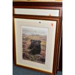 FIVE SIGNED LIMITED EDITION PRINTS, comprising 'Spitfires over Barmouth' signed by the artist