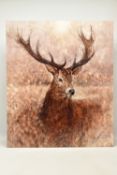 GARY BENFIELD (BRITISH CONTEMPORARY) 'NOBLE' a signed limited edition print of a stag, 17/195,
