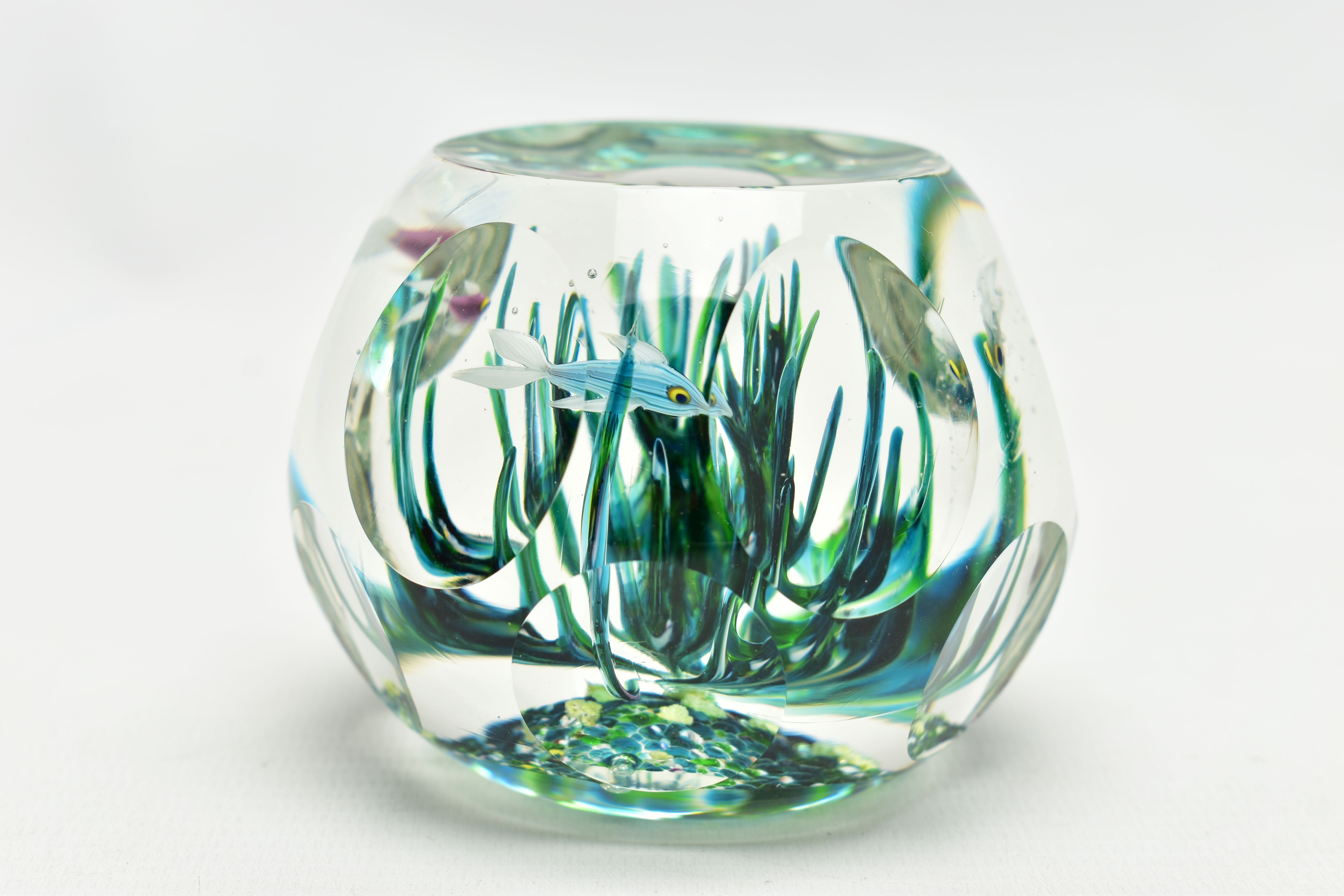 A BOXED LIMITED EDITION PERTHSHIRE 'TROPICAL FISH' GLASS PAPERWEIGHT, containing three tropical fish - Image 5 of 13