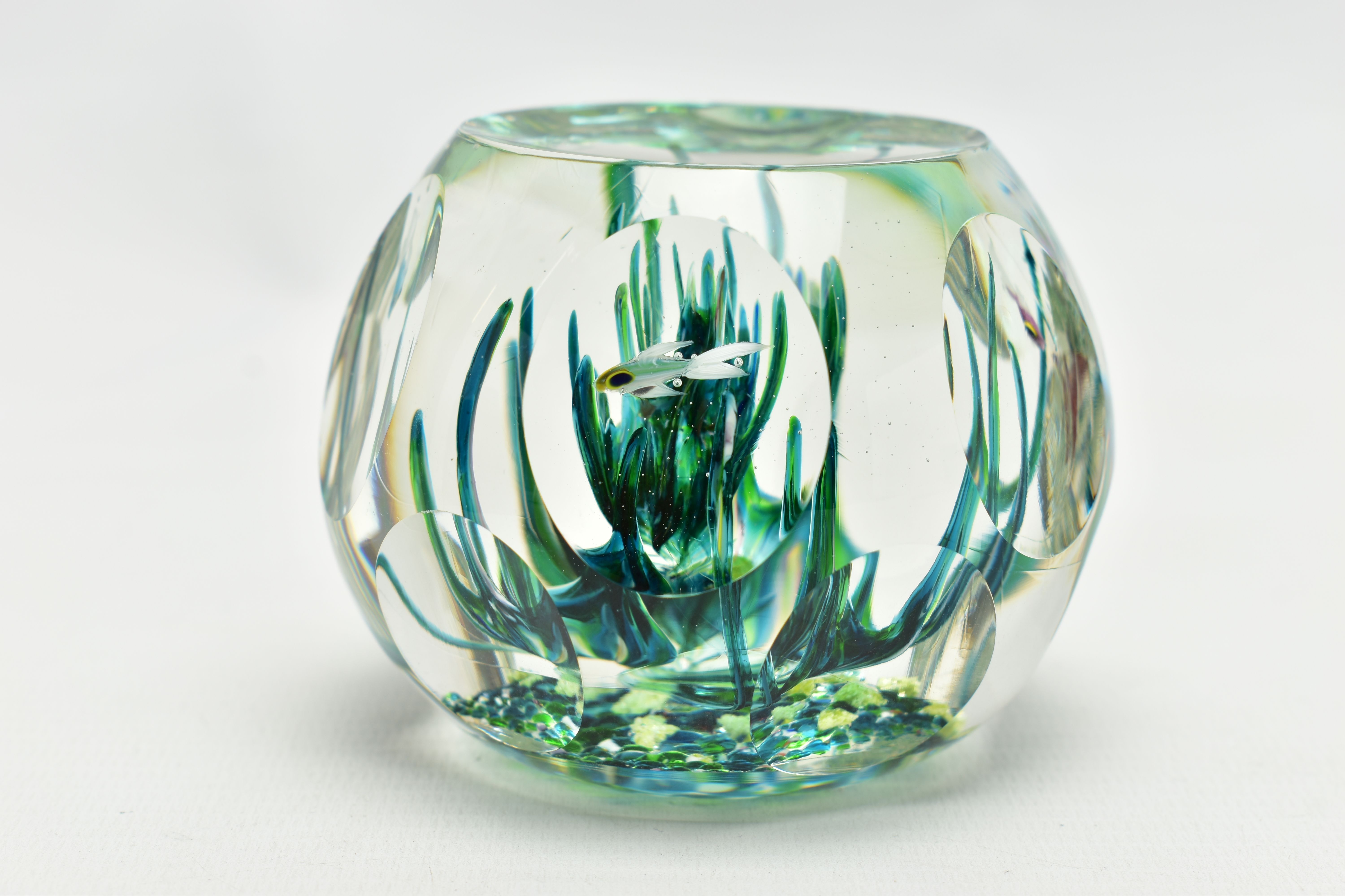 A BOXED LIMITED EDITION PERTHSHIRE 'TROPICAL FISH' GLASS PAPERWEIGHT, containing three tropical fish - Image 4 of 13