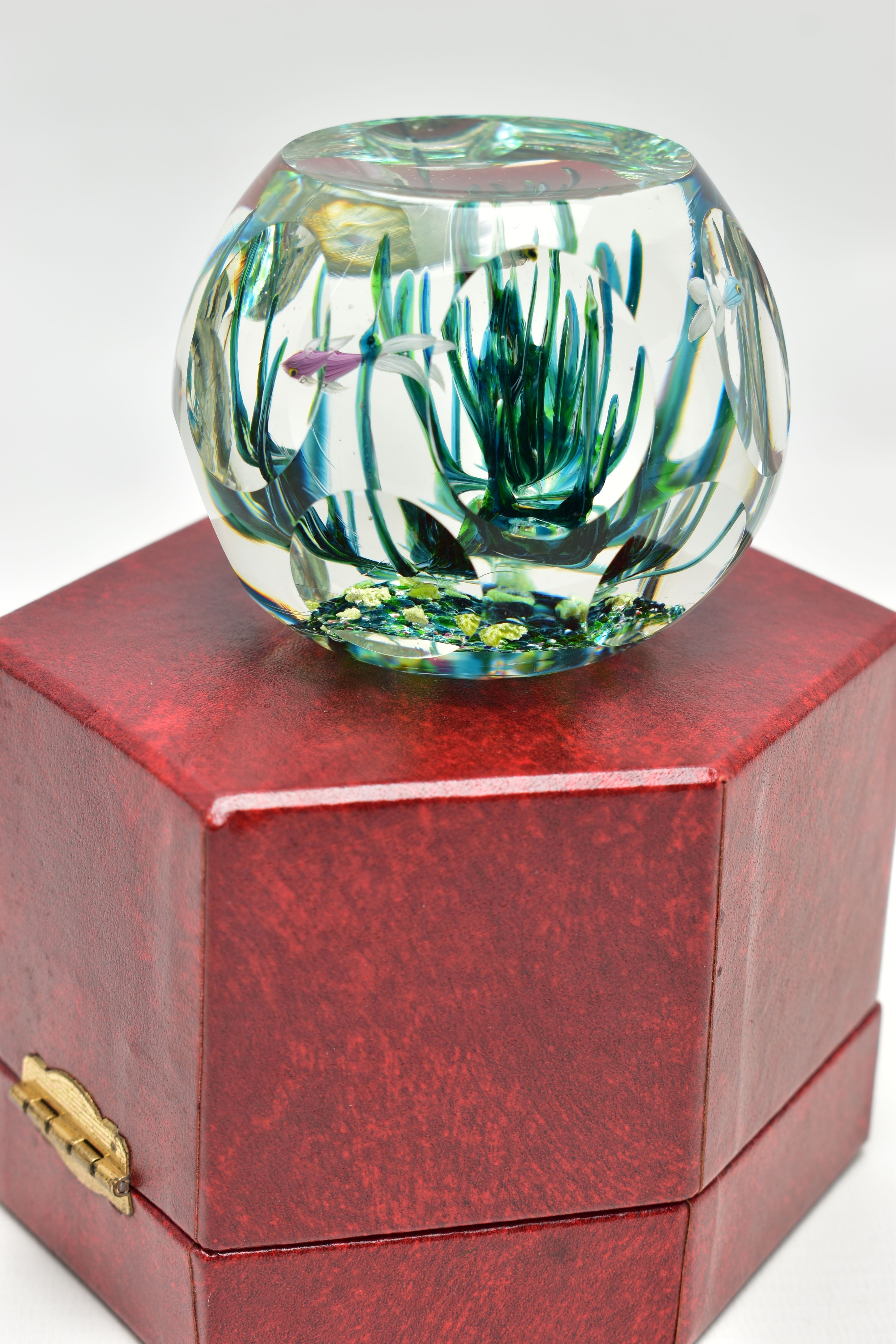 A BOXED LIMITED EDITION PERTHSHIRE 'TROPICAL FISH' GLASS PAPERWEIGHT, containing three tropical fish - Image 2 of 13