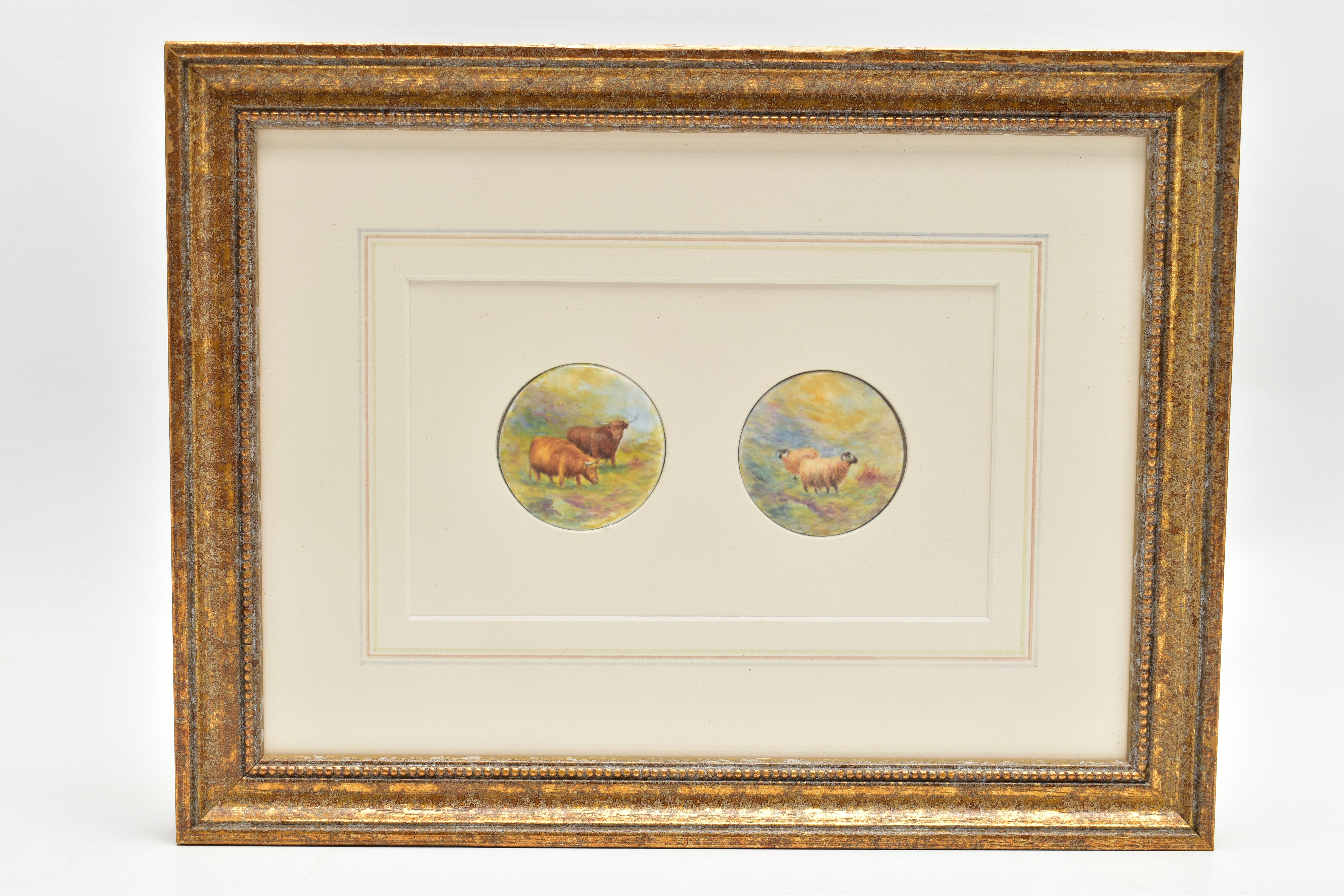 A FRAME CONTAINING TWO 20TH CENTURY CIRCULAR CONVEX PLAQUES HAND PAINTED WITH TWO HIGHLAND CATTLE