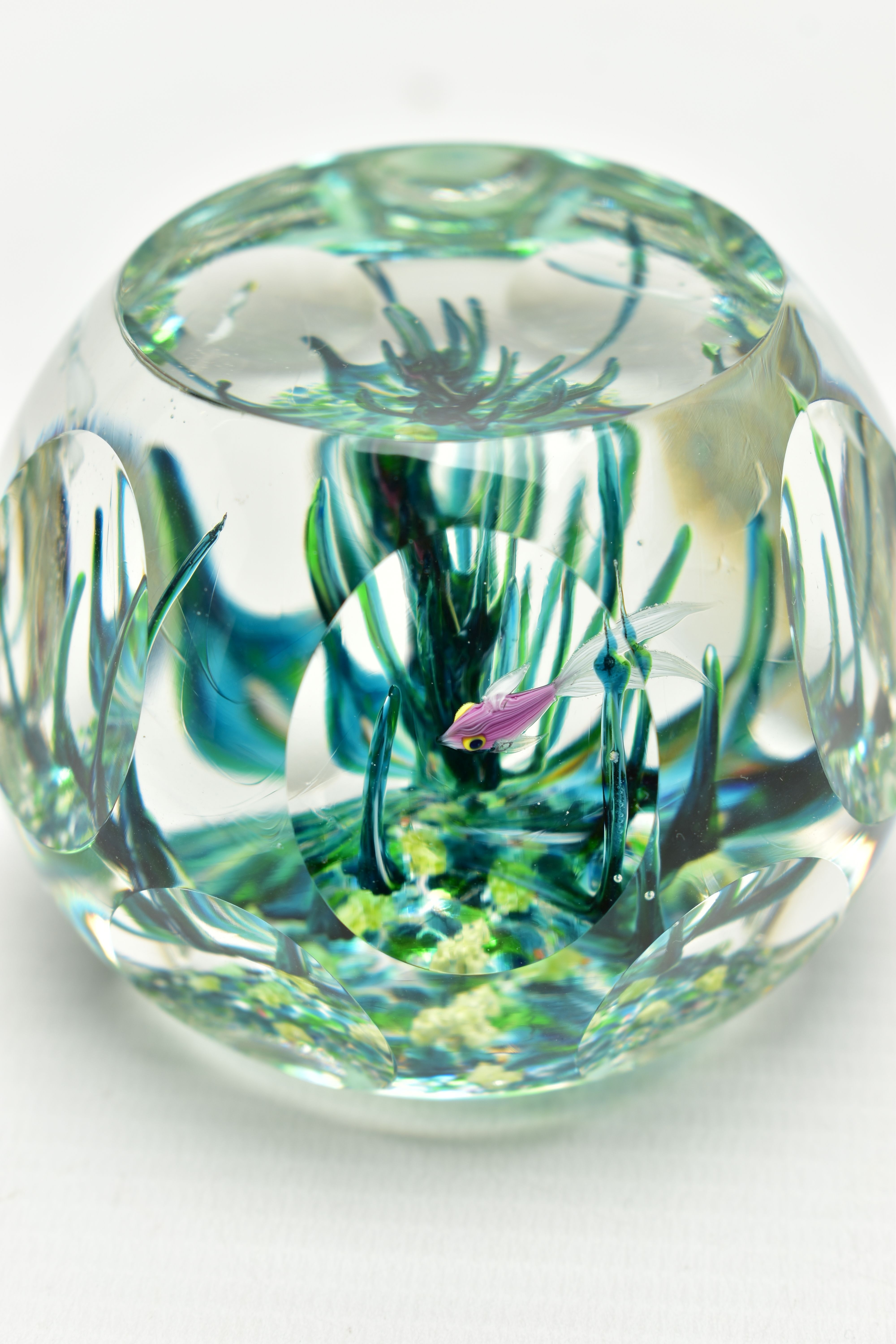 A BOXED LIMITED EDITION PERTHSHIRE 'TROPICAL FISH' GLASS PAPERWEIGHT, containing three tropical fish - Image 7 of 13