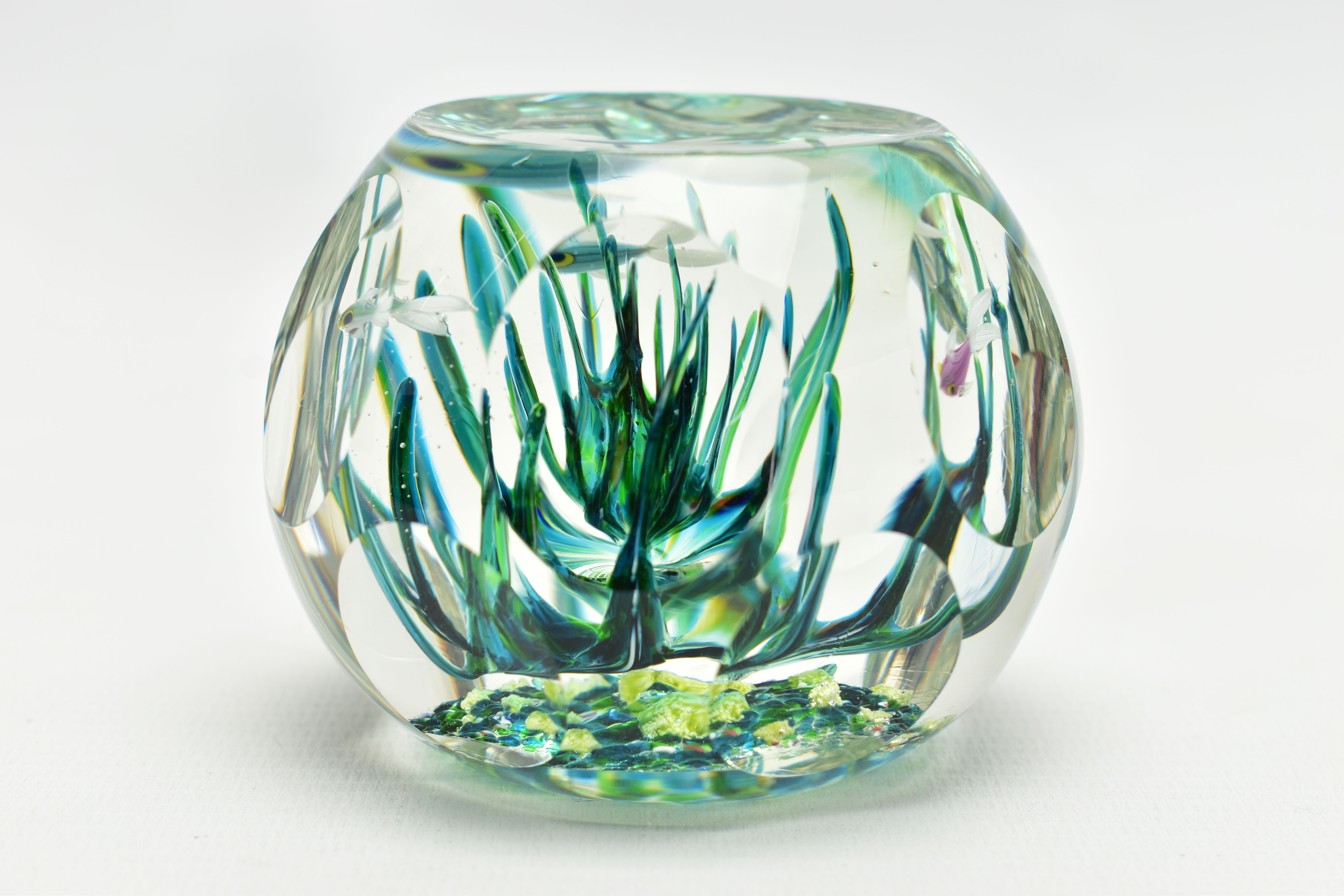 A BOXED LIMITED EDITION PERTHSHIRE 'TROPICAL FISH' GLASS PAPERWEIGHT, containing three tropical fish - Image 3 of 13
