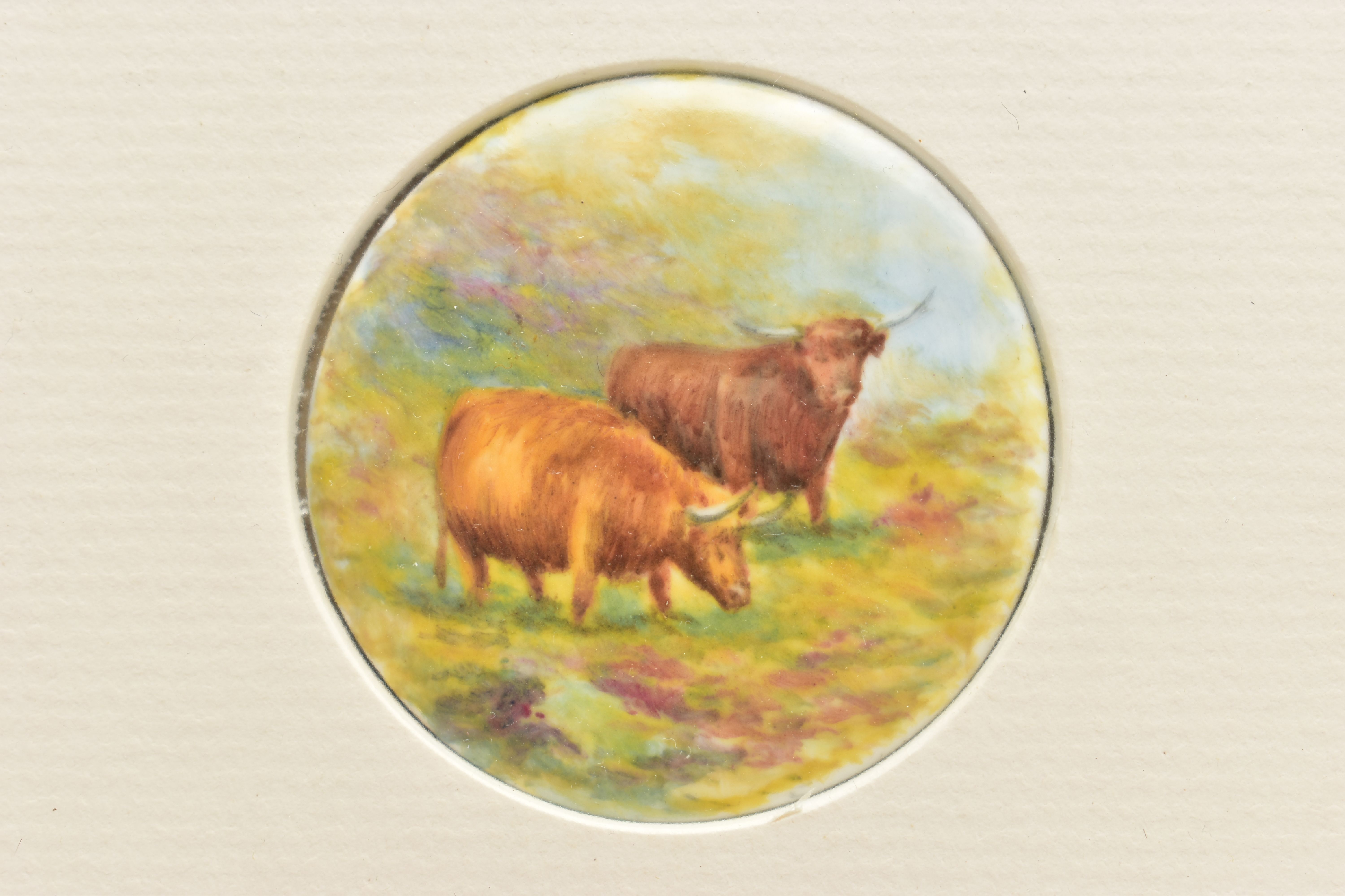A FRAME CONTAINING TWO 20TH CENTURY CIRCULAR CONVEX PLAQUES HAND PAINTED WITH TWO HIGHLAND CATTLE - Image 3 of 4