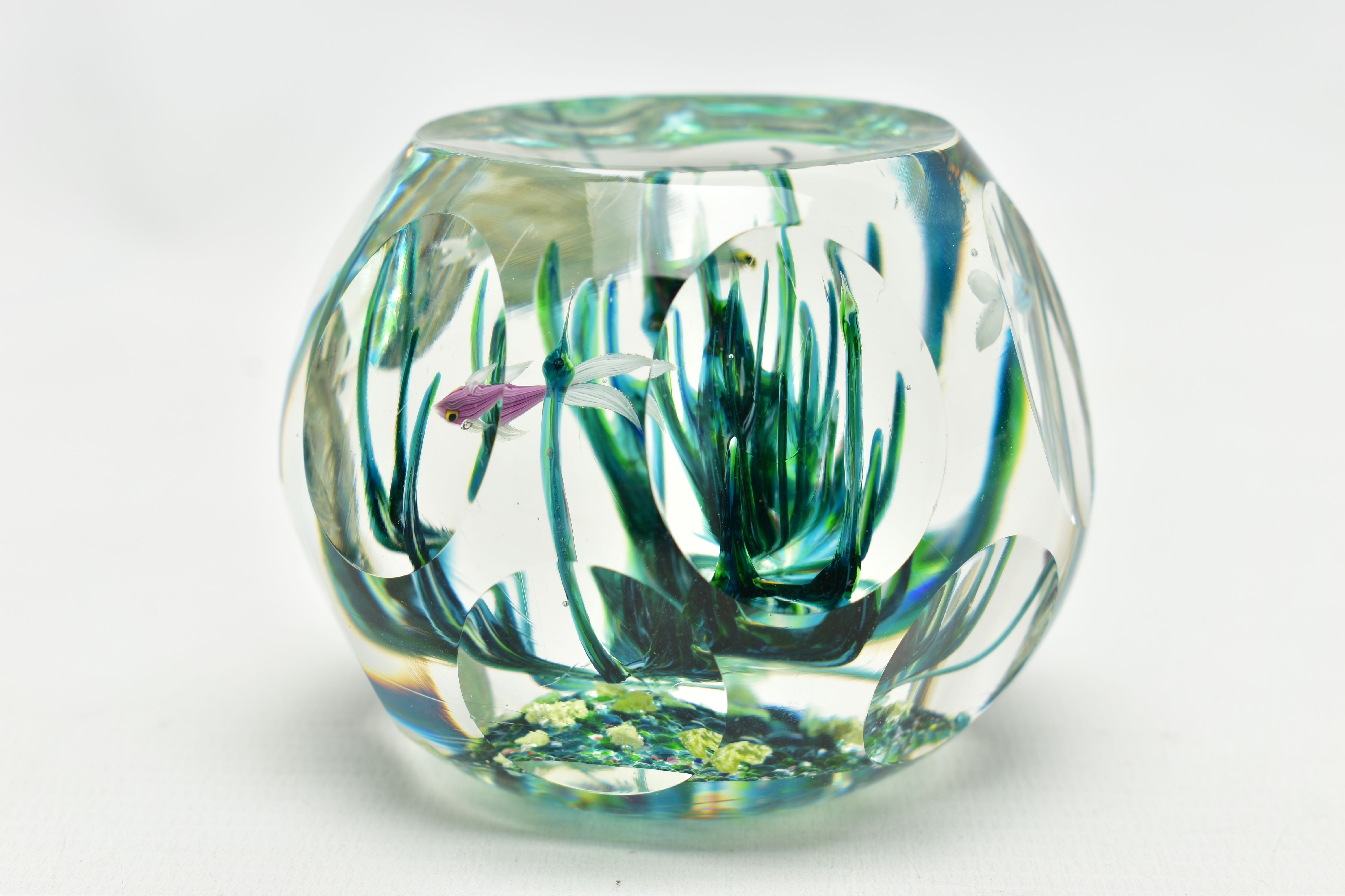 A BOXED LIMITED EDITION PERTHSHIRE 'TROPICAL FISH' GLASS PAPERWEIGHT, containing three tropical fish - Image 6 of 13