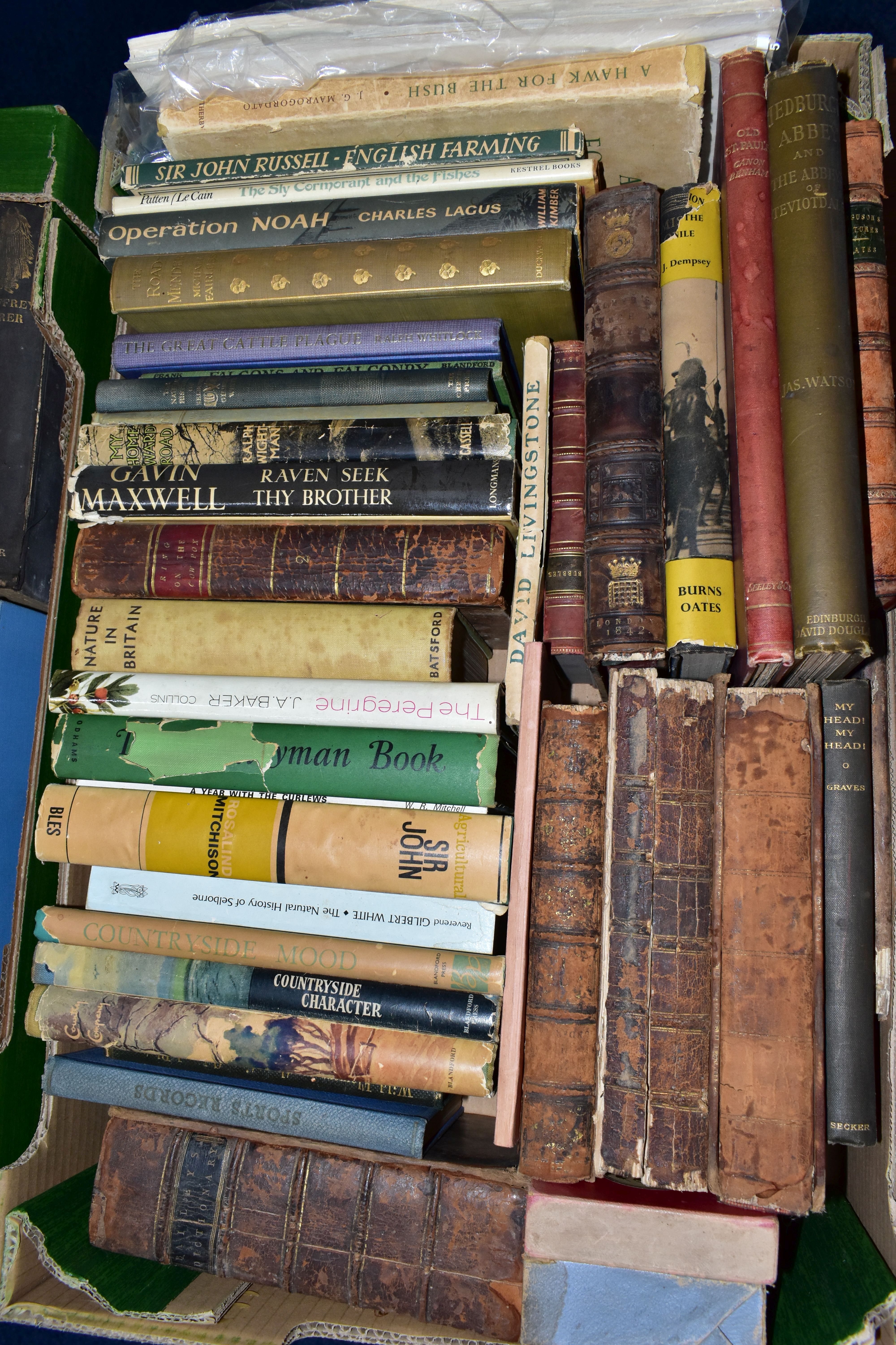 BOOKS, Antiquarian and early 20th century, Historical, Geographical and Religious titles, five boxes - Image 9 of 9