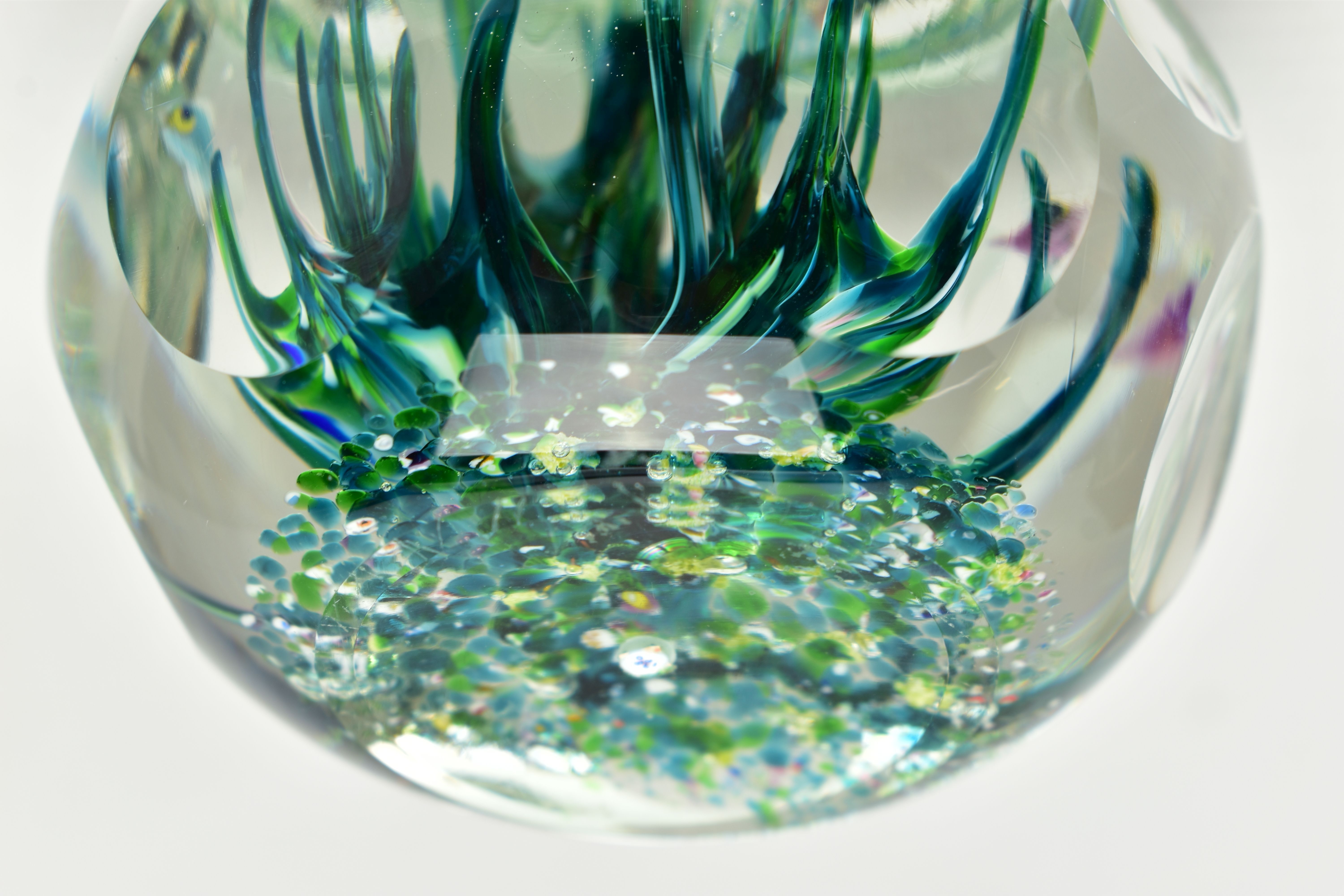 A BOXED LIMITED EDITION PERTHSHIRE 'TROPICAL FISH' GLASS PAPERWEIGHT, containing three tropical fish - Image 12 of 13