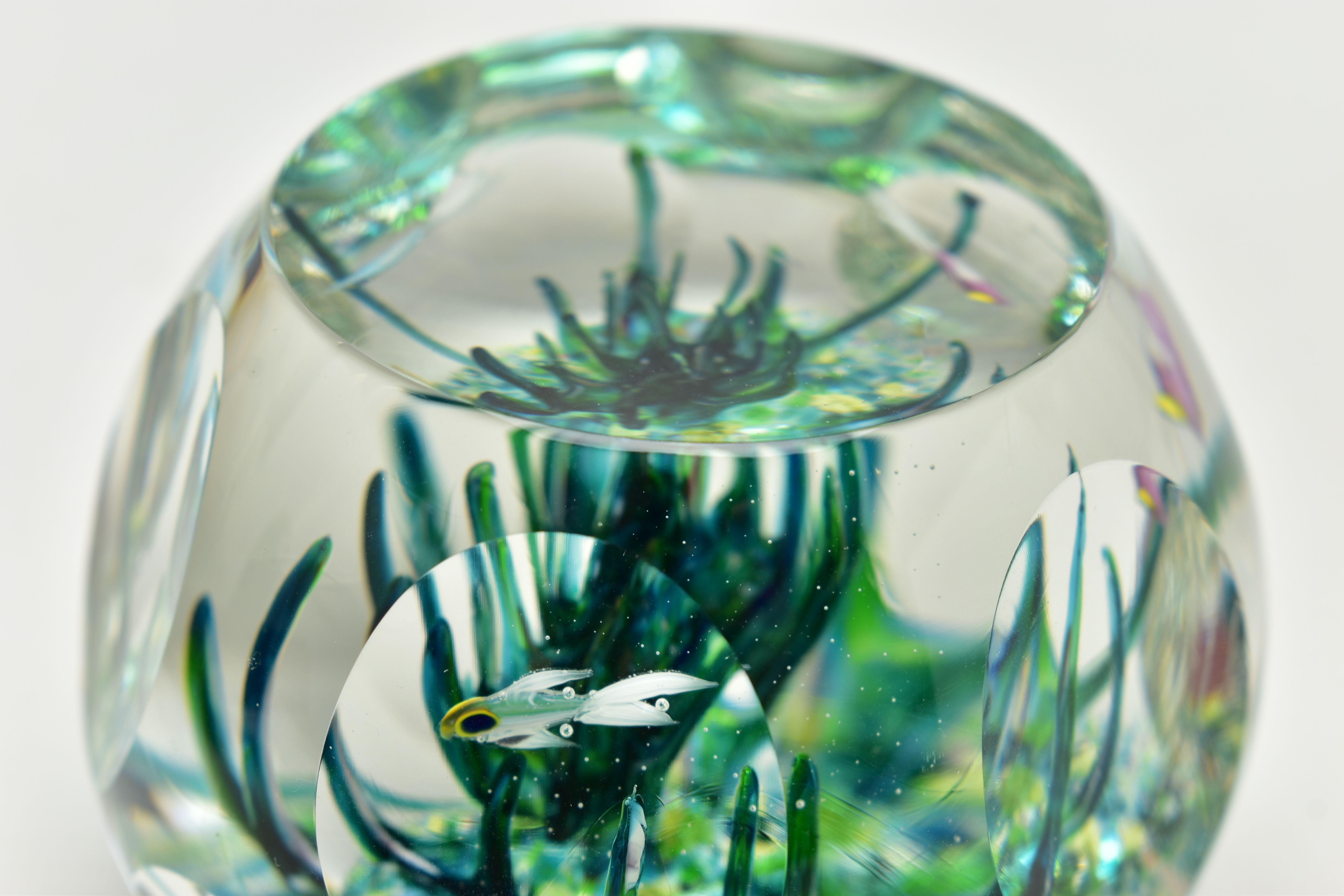 A BOXED LIMITED EDITION PERTHSHIRE 'TROPICAL FISH' GLASS PAPERWEIGHT, containing three tropical fish - Image 13 of 13