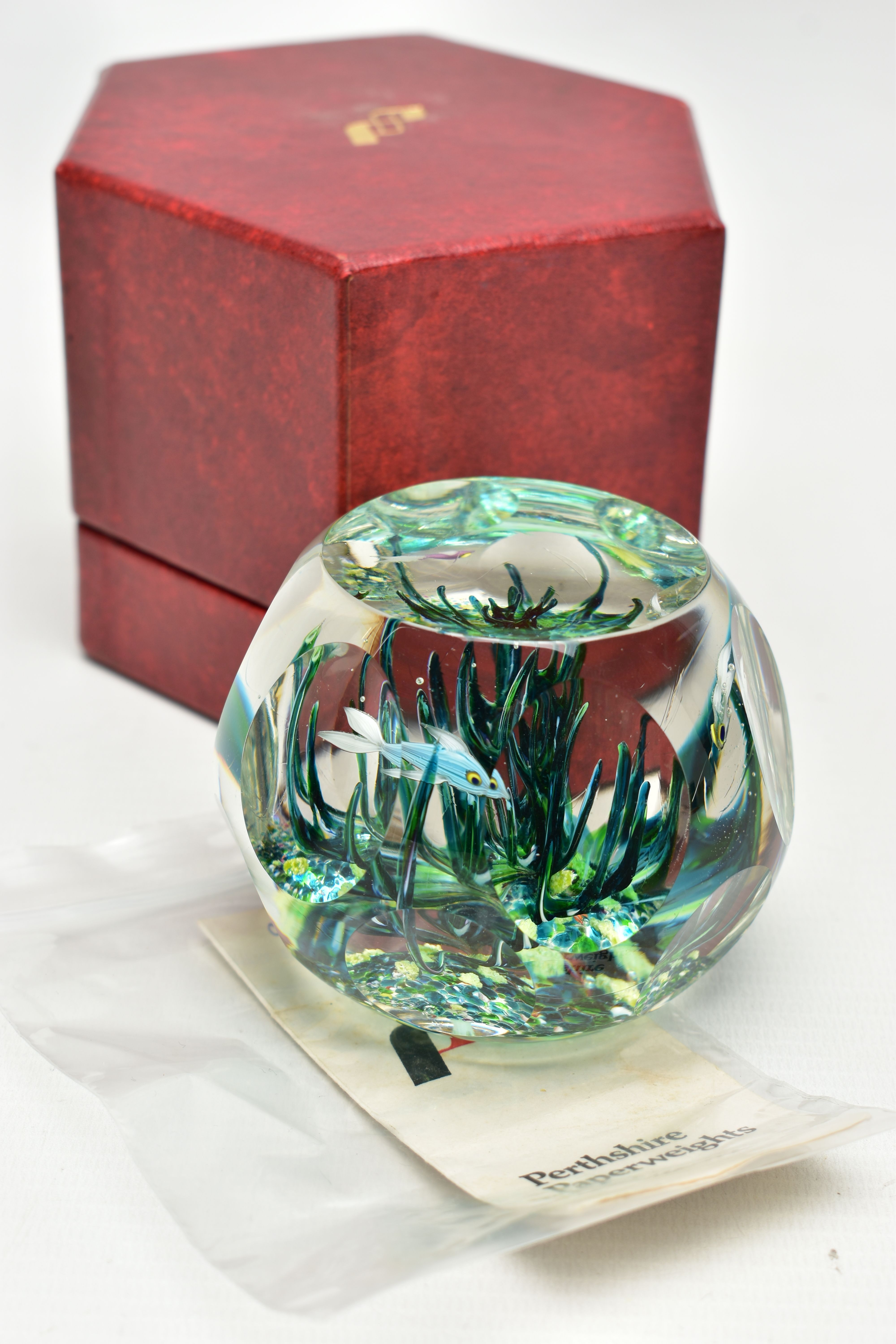 A BOXED LIMITED EDITION PERTHSHIRE 'TROPICAL FISH' GLASS PAPERWEIGHT, containing three tropical fish