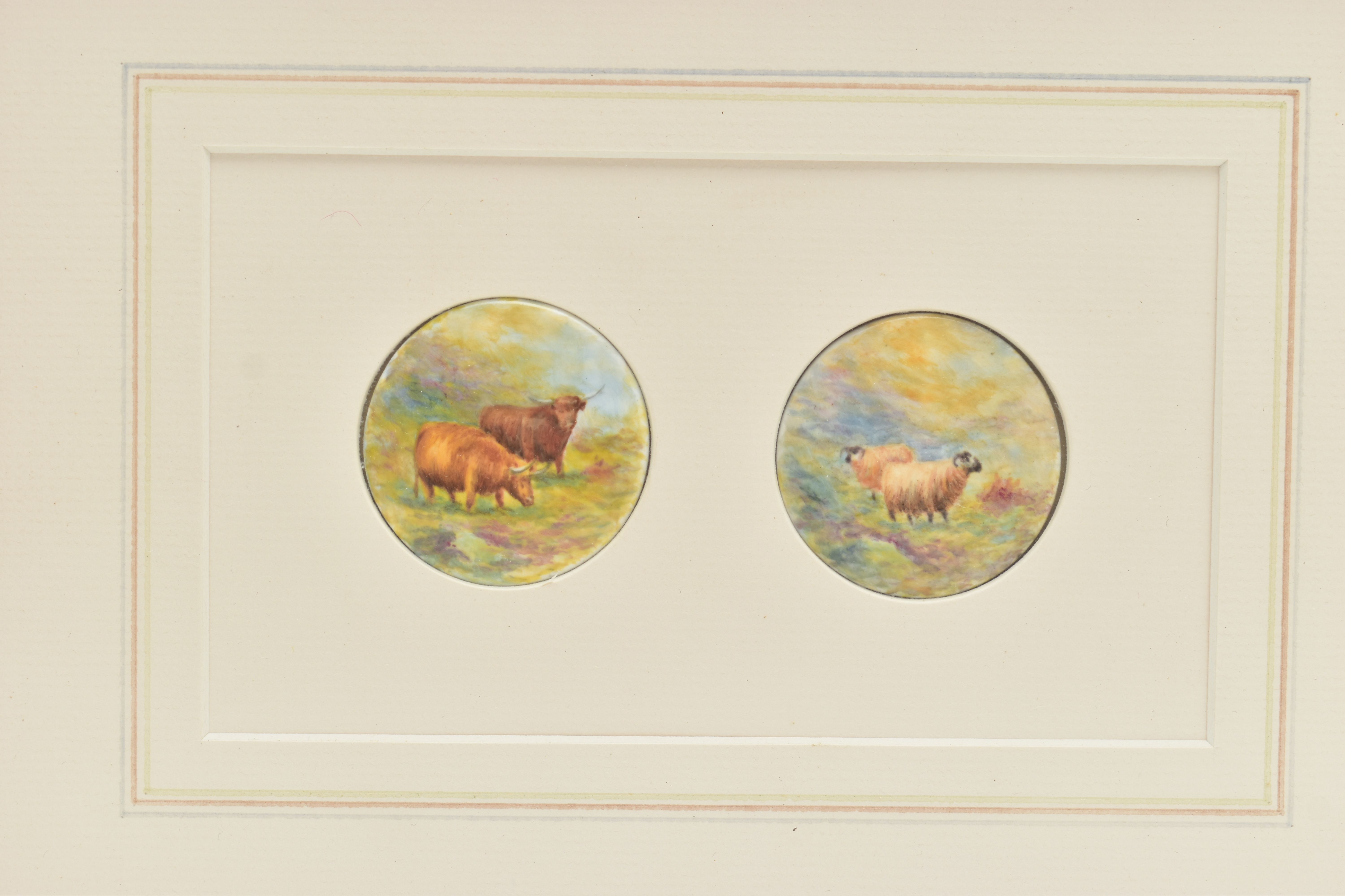 A FRAME CONTAINING TWO 20TH CENTURY CIRCULAR CONVEX PLAQUES HAND PAINTED WITH TWO HIGHLAND CATTLE - Image 2 of 4