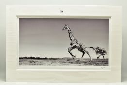 ANUP SHAH (KENYA CONTEMPORARY) 'DANCE', a signed limited edition photographic print depicting a