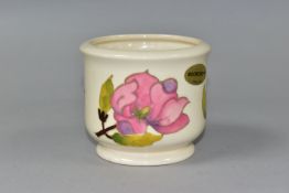 A SMALL MOORCROFT POTTERY JARDINIERE, decorated in Magnolia pattern on a cream ground, impressed
