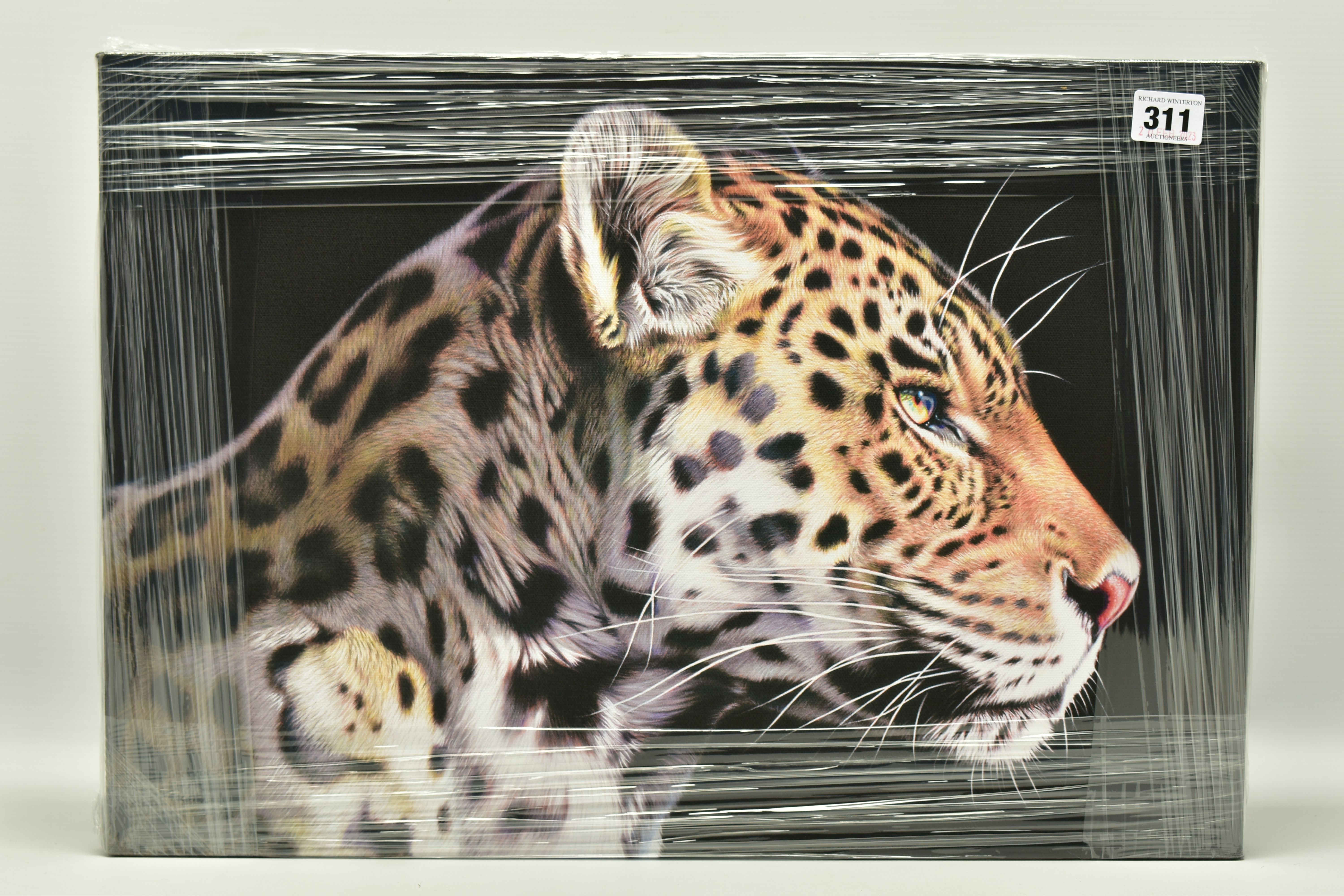 DARRYN EGGLETON (SOUTH AFRICA 1981) 'THE WILD SIDE I', a signed limited edition box canvas print