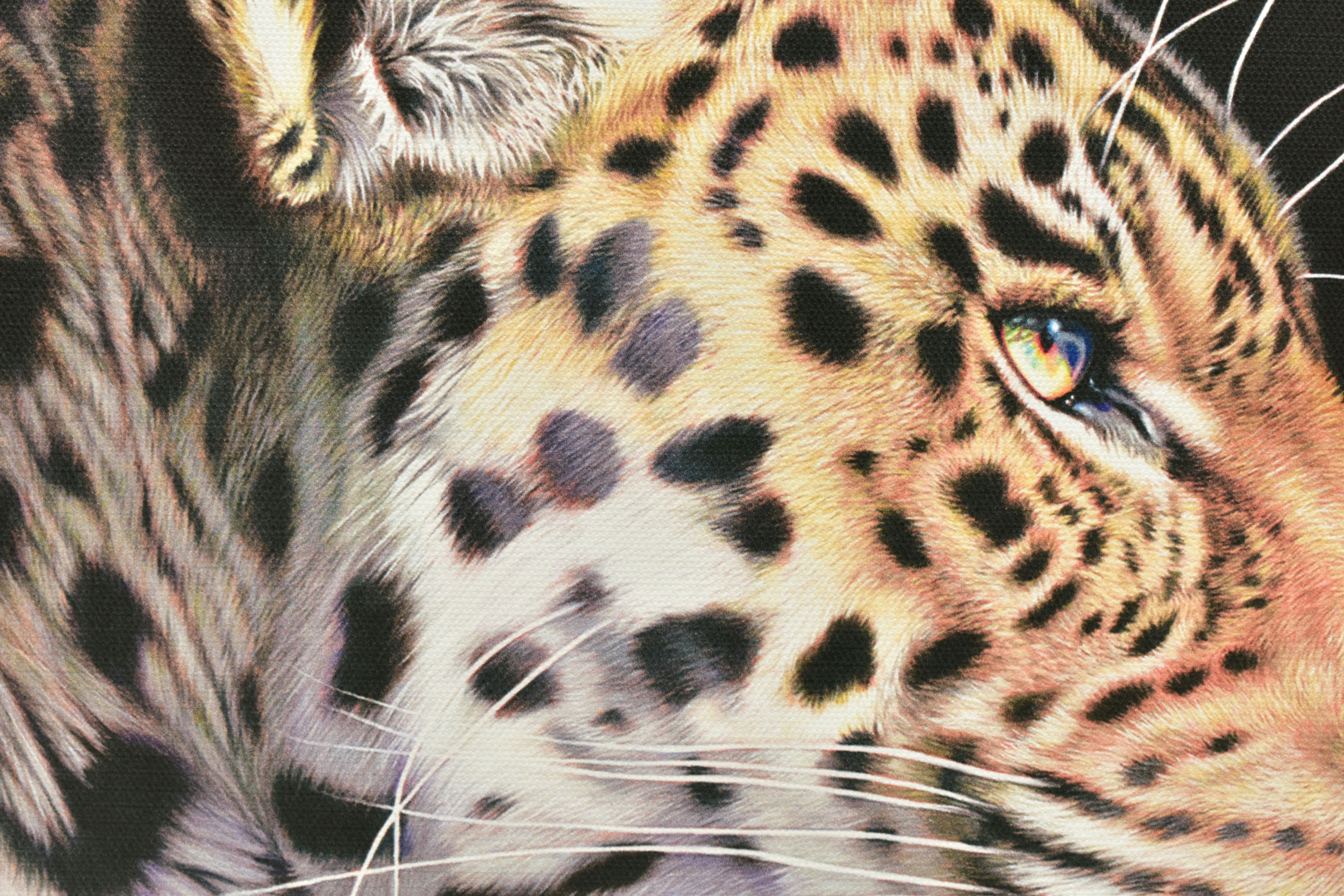 DARRYN EGGLETON (SOUTH AFRICA 1981) 'THE WILD SIDE I', a signed limited edition box canvas print - Image 2 of 4