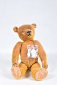 AN AMERICAN ORANGE BRISTLE MOHAIR TEDDY BEAR, c.1914 - 1920, replacement glass eyes, horizontal