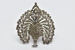 A WHITE METAL AND MARCASITE BROOCH, in the form of a peacock, open work detail set with circular cut