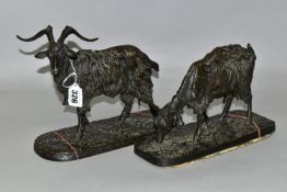 AFTER P J MENE, TWO CAST BRONZE GOATS, on naturalistic bases, each bearing signature, approximate