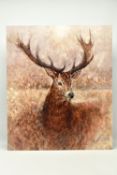 GARY BENFIELD (BRITISH CONTEMPORARY) 'NOBLE' a signed limited edition print of a stag, 19/195,