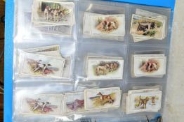 CIGARETTE CARDS, one folder containing a collection of 'Dog' related cards from John Player &