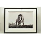 ANUP SHAH (KENYA CONTEMPORARY) 'HUNTER', a signed limited edition photographic print of a lion, 17/