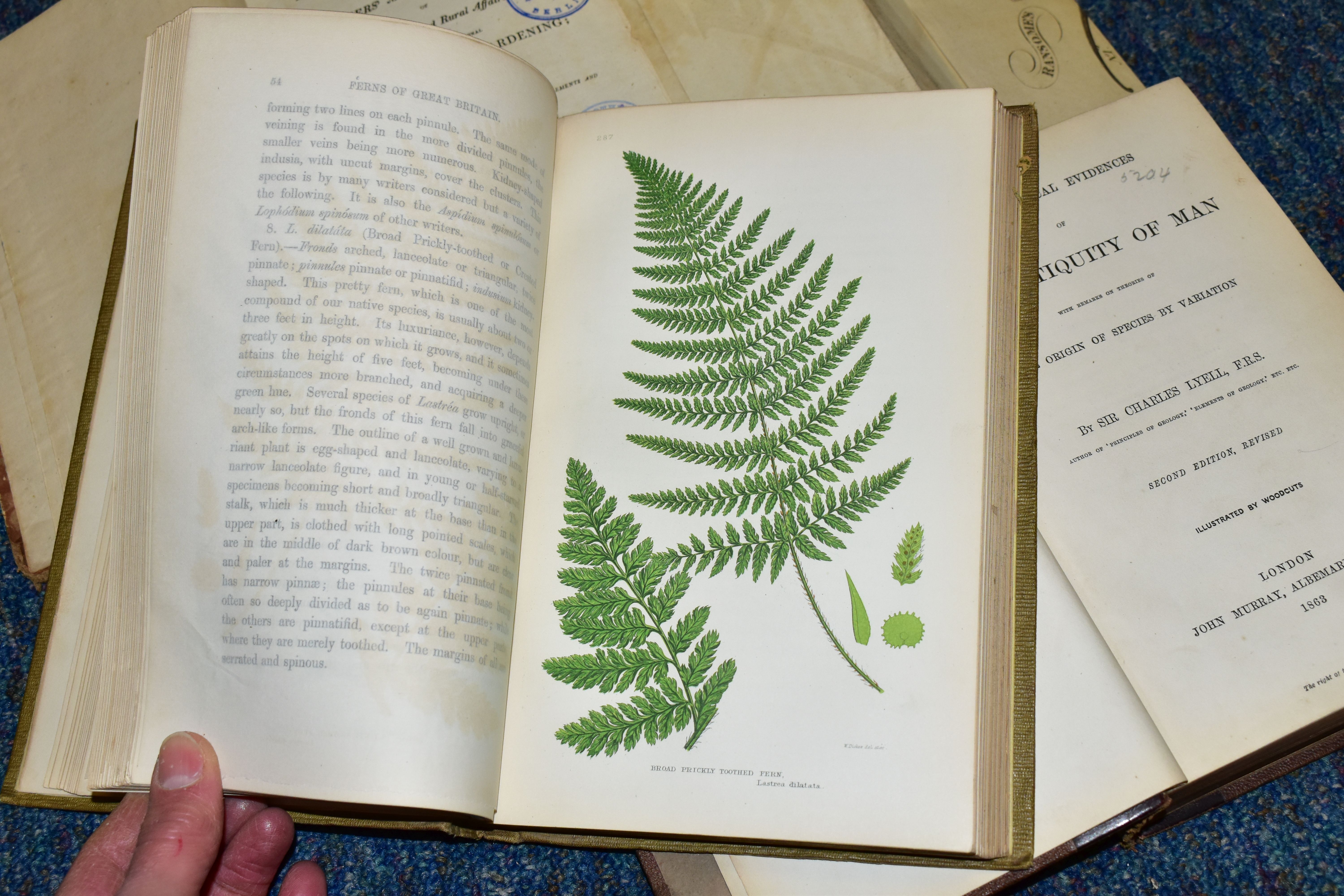 BOOKS, Four Antiquarian titles comprising Vestiges of The Natural History of Creation by Robert - Image 6 of 10