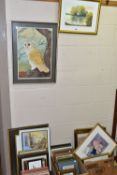 TWO BOXES AND LOOSE PAINTINGS AND PRINTS ETC, to include watercolour bird studies by a variety of
