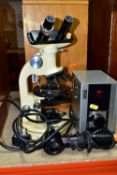WILD HEERBRUGG M11 BINOCULAR MICROSCOPE, complete with wooden box Kohler lamp and power supply?