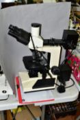 AN UNBRANDED BINOCULAR MICROSCOPE, with power cable, possibly a laboratory and research microscope