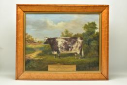 ATTRIBUTED TO A.M. GAUCI (19TH CENTURY) 'FOREST BELL', a portrait of a prize winning cow in a