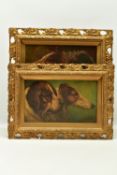HERBERT St JOHN JONES (1870-1939) 'SKETCH', a pair of dog portraits both featuring a Rough Collie