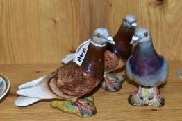 THREE BESWICK PIGEONS, second versions with two stripes on wings, model no 1383B, one 'blue' (