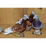 THREE BESWICK PIGEONS, second versions with two stripes on wings, model no 1383B, one 'blue' (