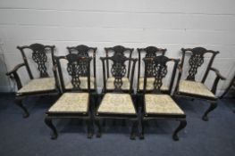 A SET OF EIGHT CHIPPENDALE STYLE MAHOGANY CHAIRS, with drop in seat pads, including two carvers (