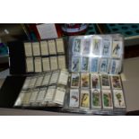 TWO ALBUMS OF CIGARETTE CARDS containing approximately 1245 cards in complete sets and part sets